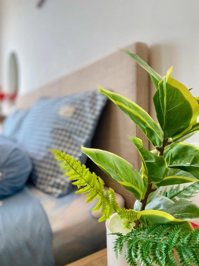The Song Apartment Vung Tau - Boo Boo Homestay Zewnętrze zdjęcie